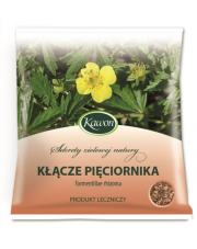 Kłącze Pięciornika 50g