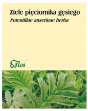 Ziele Pięciornika Gęsiego 50g